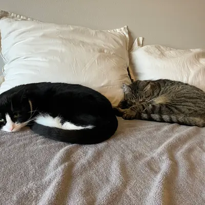 Xena & Midna